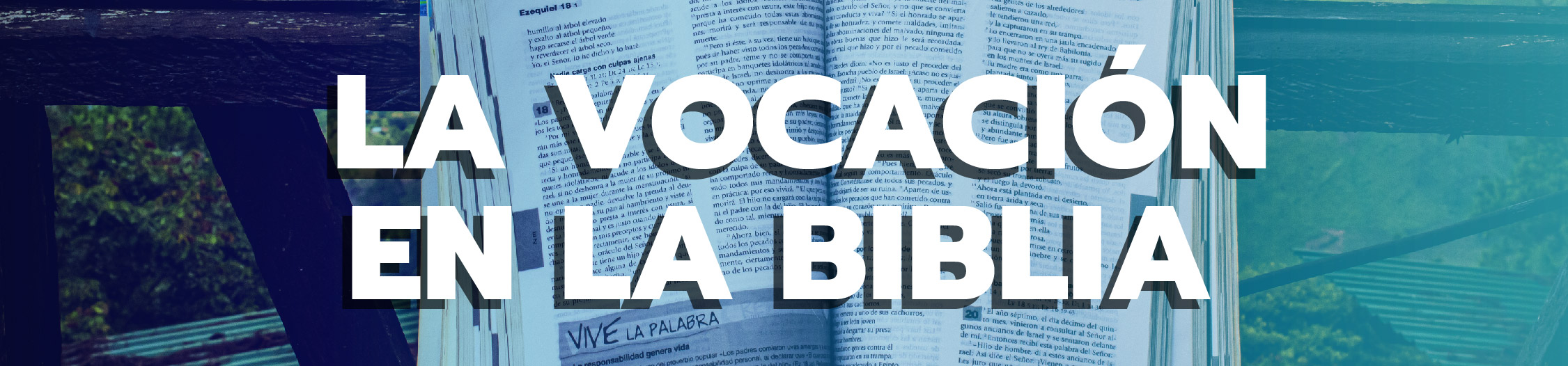 Encabezado La Vocacion en la Biblia